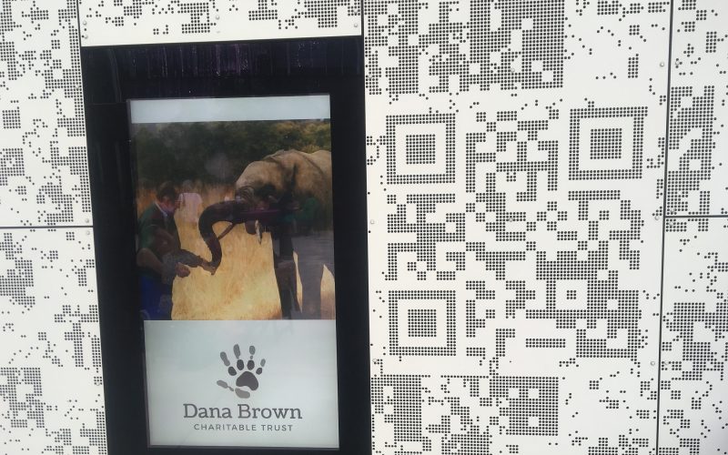 dana-brown-charitable-trust-elephant